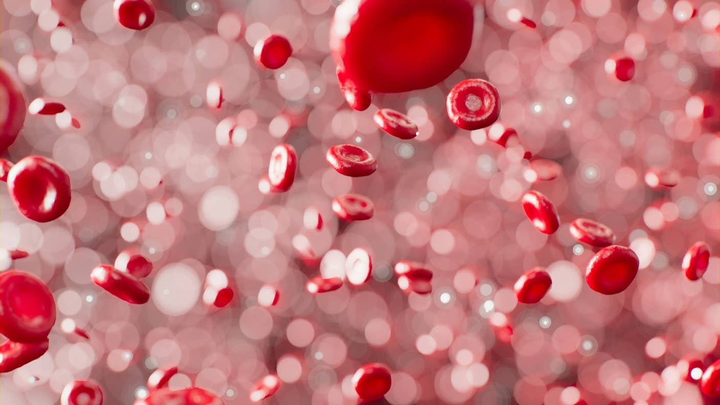 New Gene Therapy Reverses Three Diseases With Shots to the Bloodstream An artist's depiction of red blood cells.